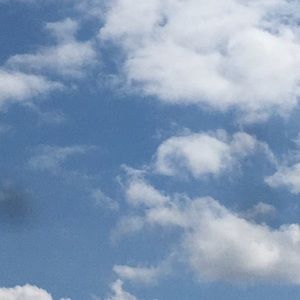 Meet your Posher, Ariana